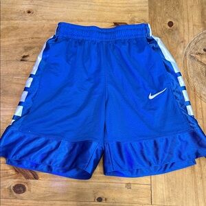 Nike Kids Royal Blue Mesh Shorts